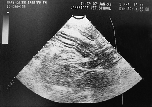 File:SmAn Ab and Met 14a.jpg