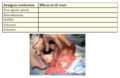 Small Animal Emergency and Critical Care Medicine 2E Q13.png