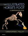 Book Cover - The Illustrated Horse's Foot.png