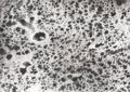 Lung scanning electron micrograph.jpg