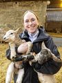 Lambing - Kate Cheeseman.jpeg